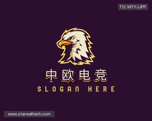 关于中欧电竞