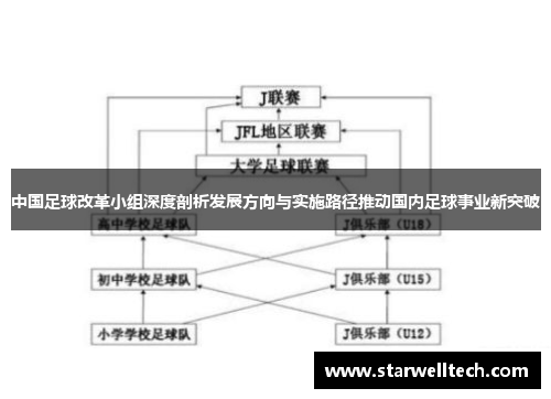 中国足球改革小组深度剖析发展方向与实施路径推动国内足球事业新突破